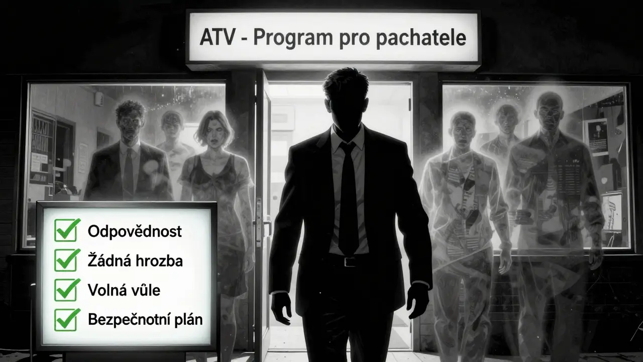 Muž vstupující do programu pro pachatele, za ním stíny násilí, na pozadí kontrolní seznam s čtyřmi zelenými značkami.